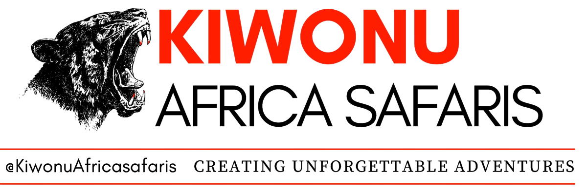 Kiwonu Africa Safaris — Creating Unforgettable Adventures