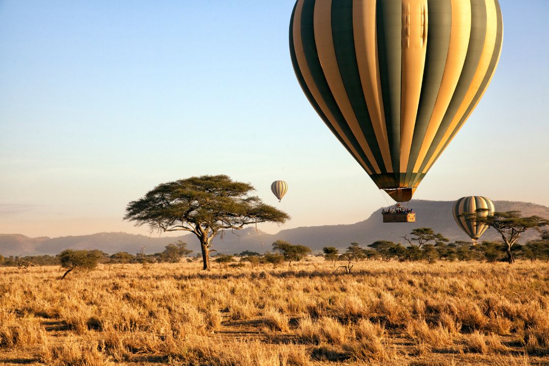 Serengeti-National-Park-1.jpg