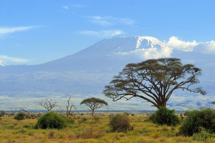 Kilimanjaro National Park