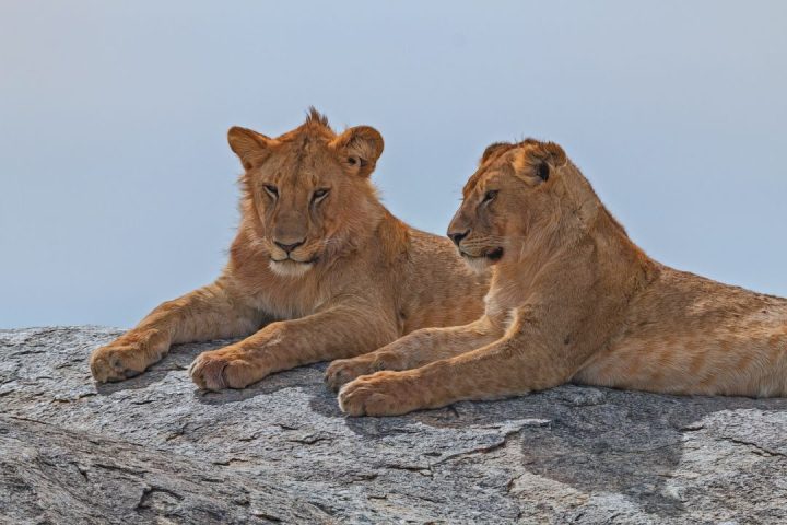 Serengeti National Park